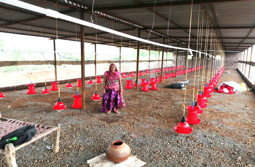 रतलाम में 102 महिलाओं ने शुरू किया मुर्गी पालन, पांच लाख की मुर्गी बेचकर एक लाख कमाया मुनाफा