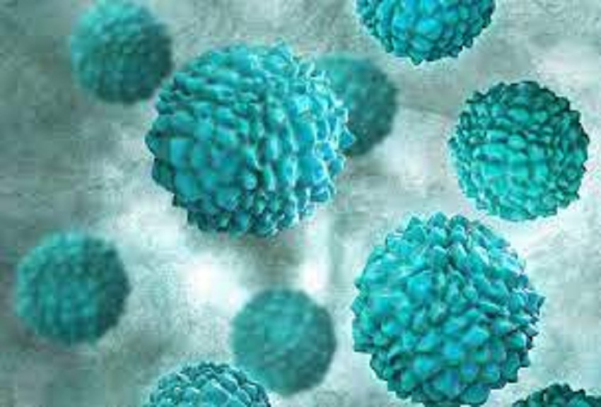 norovirus cases in kerala know about symptoms and treatment