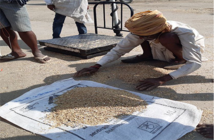 There is no ban on the practice of grain in the market