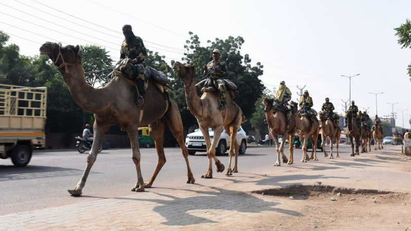 सरहद से राजधानी के सफर पर 'रेगिस्तान के जहाज'