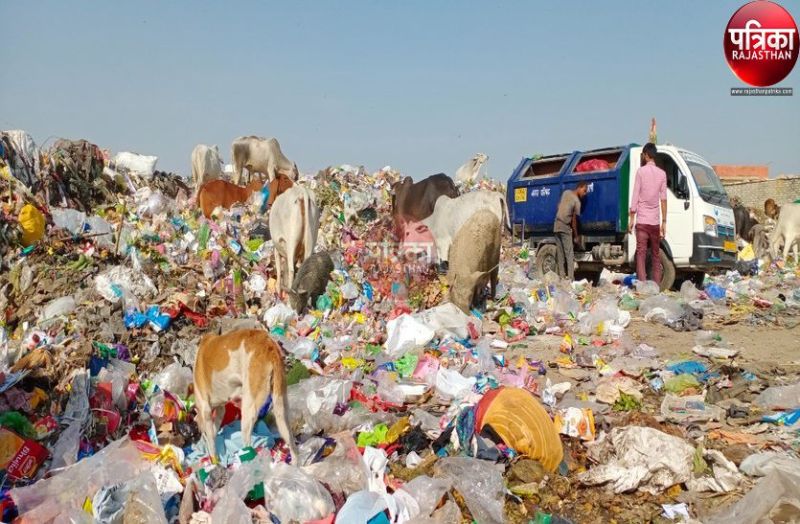 VIDEO : ये कैसी सफाई : नगर परिषद रोजाना दे रही 11 हजार 400 रुपए, फिर भी शहर के बीच बने कचरे के पहाड़