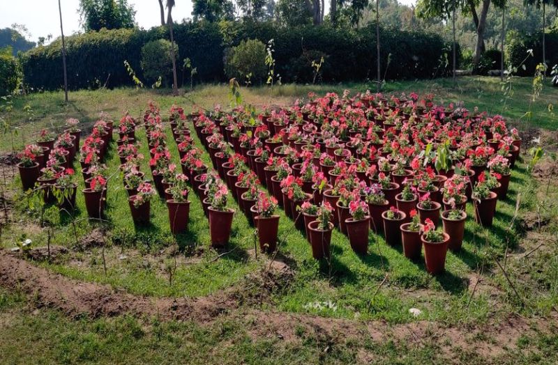 खिलेंगे गुल, महकेगी राजधानी