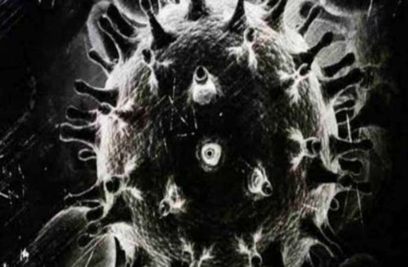 black fungs case reported after man recovred from dengue in delhi