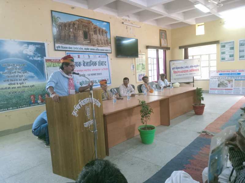 जीरे के उत्पादन के साथ गुणवत्ता पर दें ध्यान