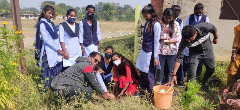 Plants planted in college under Ankur program