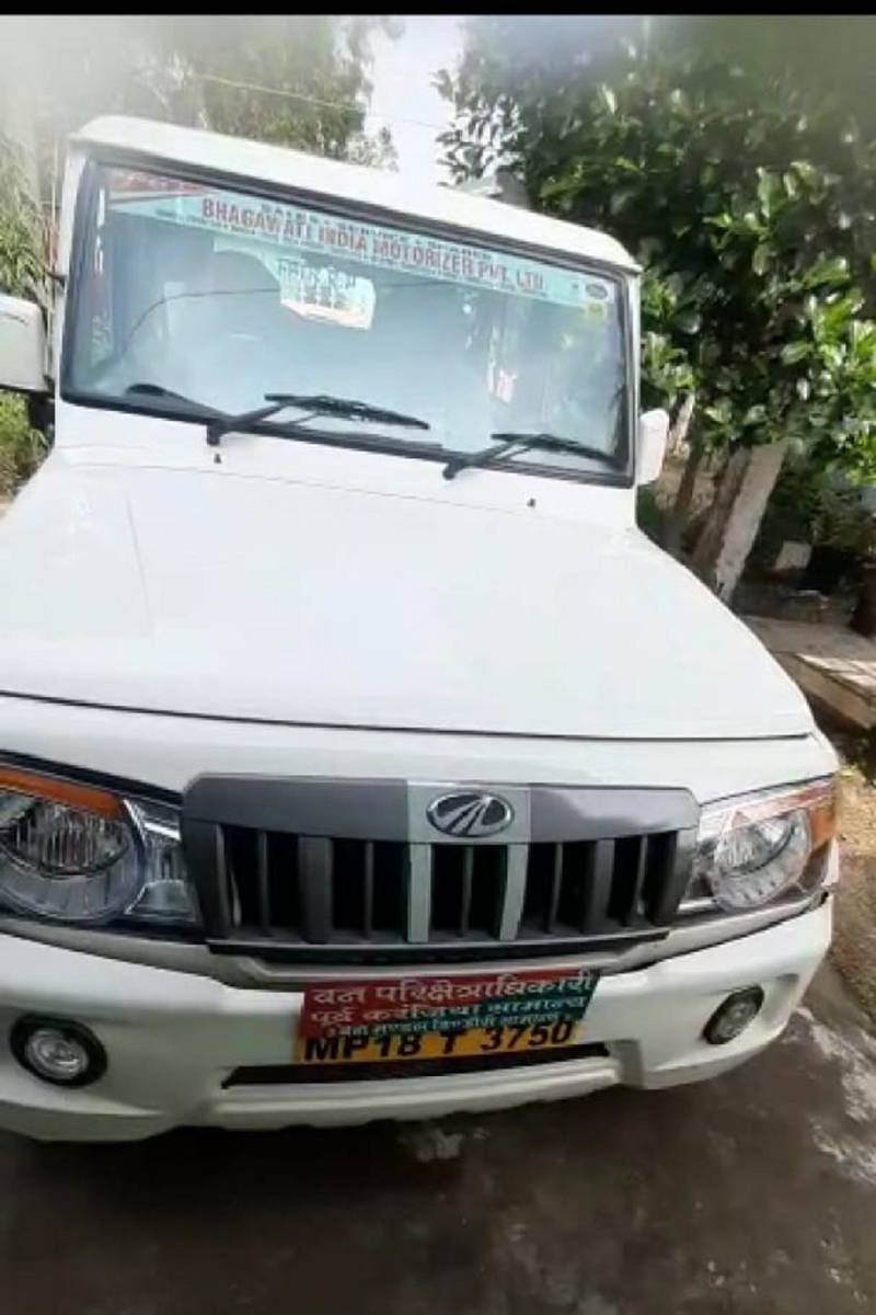 Attempts to mount a car on female forest officer and employees during investigation