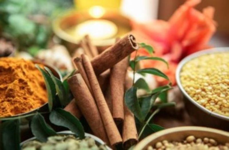 आयुष चिकित्सा अब पहुंचेंगी गांव-गांव, परम्परागत चिकित्सा पद्धतियों से होगा इलाज