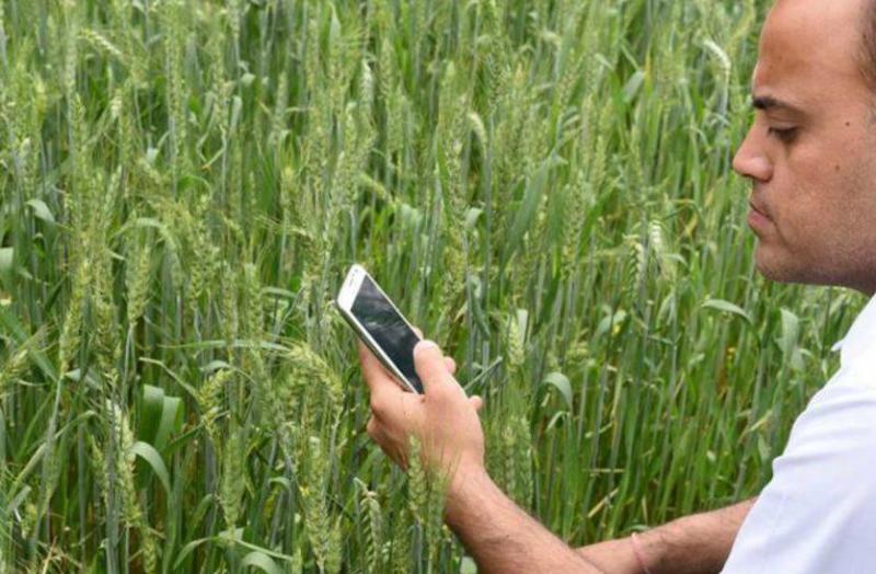 किसानों को स्मार्ट फोन खरीदने में मदद करेगी राज्य सरकार