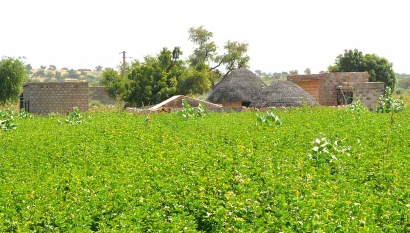 अजी... सुनती हों....