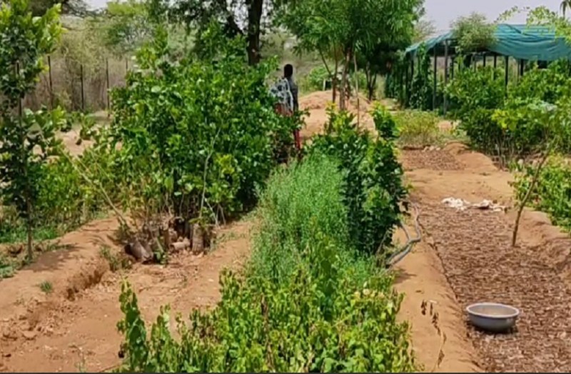 घर-घर औषधि योजना ने किया 92 प्रतिशत से अधिक लक्ष्य पूर्ण