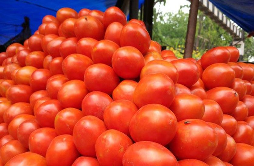 tomato price increase