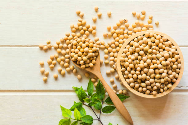 Soybean Side Effects: जरूरत से ज्यादा सोयाबीन का सेवन करना स्वास्थ्य के लिए नुकसानदायक हो सकता है