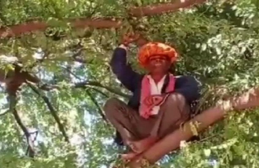 Farmer climbed a tree to stop black marketing of manure