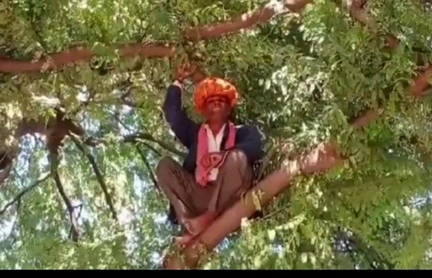 Jhalawar ...खाद की कालाबाजारी रोकने की मांग को लेकर पेड़ पर चढ़े किसान नेता