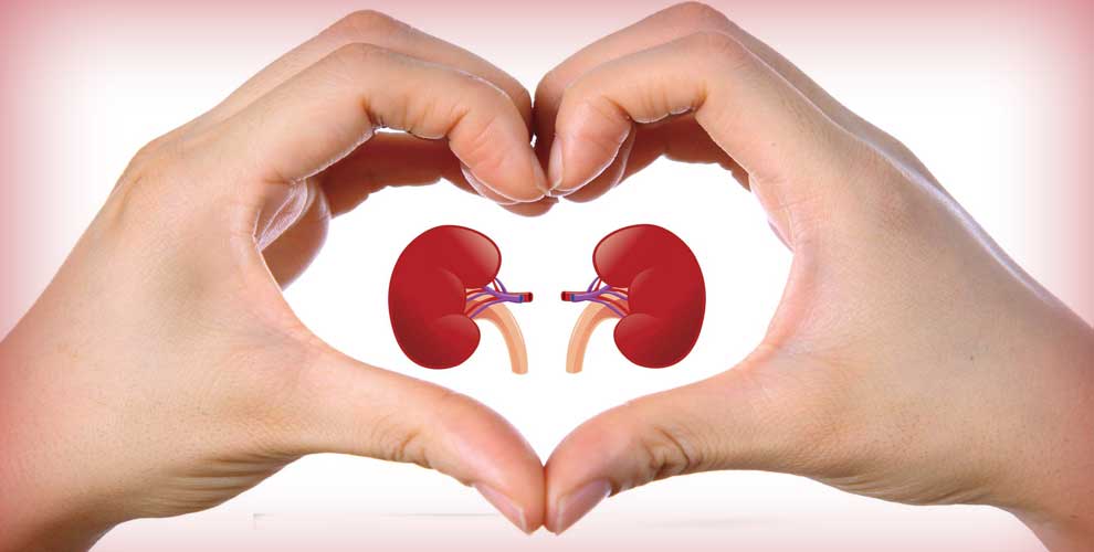 simple-tips-to-prevent-kidney-damage