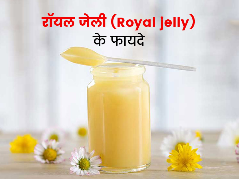 royal jelly reduces cholesterol and beneficial it is for health