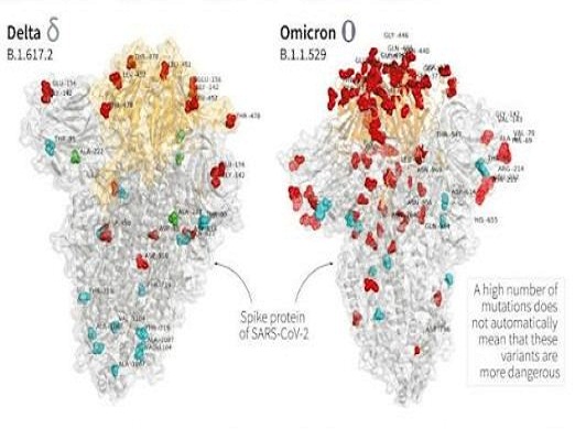 Omicron Variant First Photo