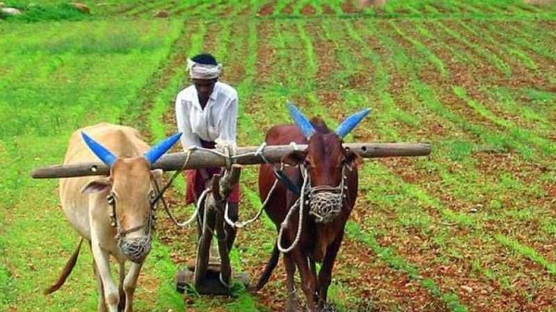 pm-kisan-yojana.jpg