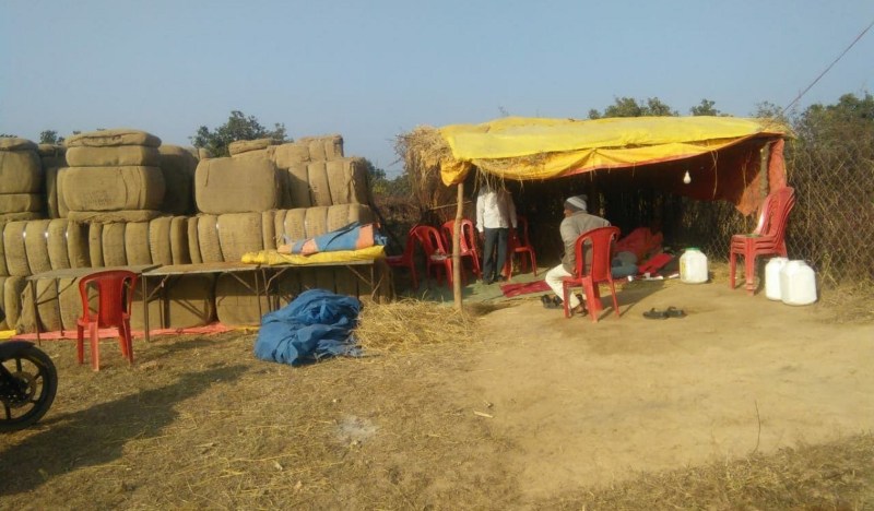 समर्थन मूल्य पर धान खरीदी शुरु, पहले दिन नहीं पहुंचे किसान, केन्द्रों मेें पसरा रहा सन्नाटा