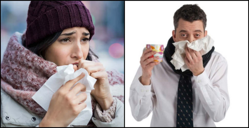 Effective Foods to Avoid the Cold