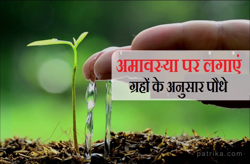 grah dosh remedies on amavasya