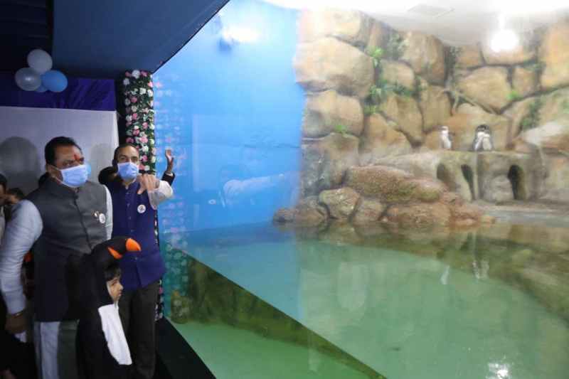 साइंस सिटी की एक्वाटिक गैलरी में अब दिखेंगे पेंगुइन