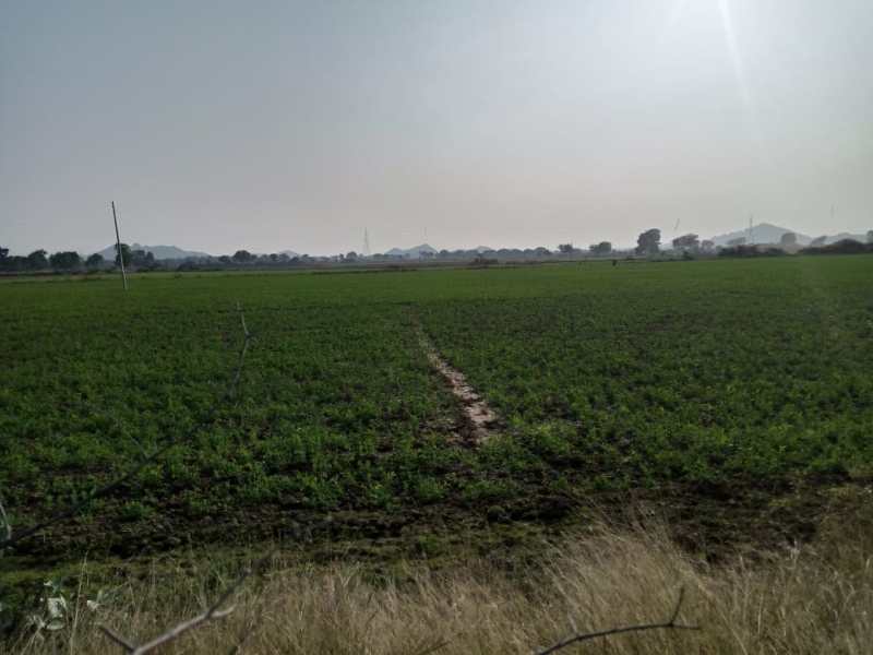 कम पानी वाली जौ, अलसी, सरसों और मसूर का क्षेत्रफल दो गुना हुआ