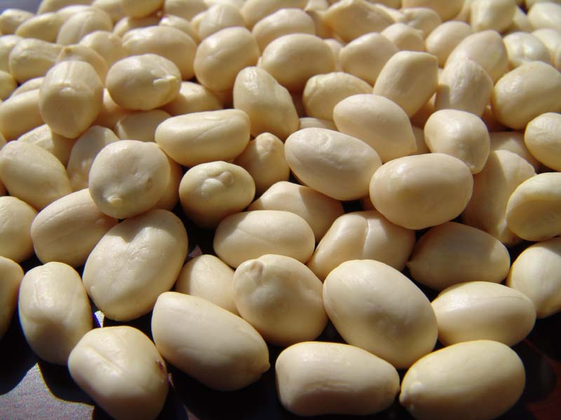 peanut.jpg