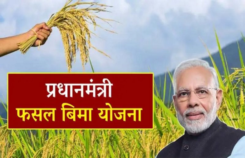 Pradhan Mantri Fasal Bima Yojana: एक साल में बीमा लेने से पीछे हटे दो लाख से ज्यादा किसान