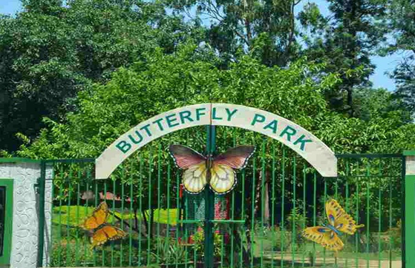 butterfly-park-will-establish-in-ghaziabad-city.jpg