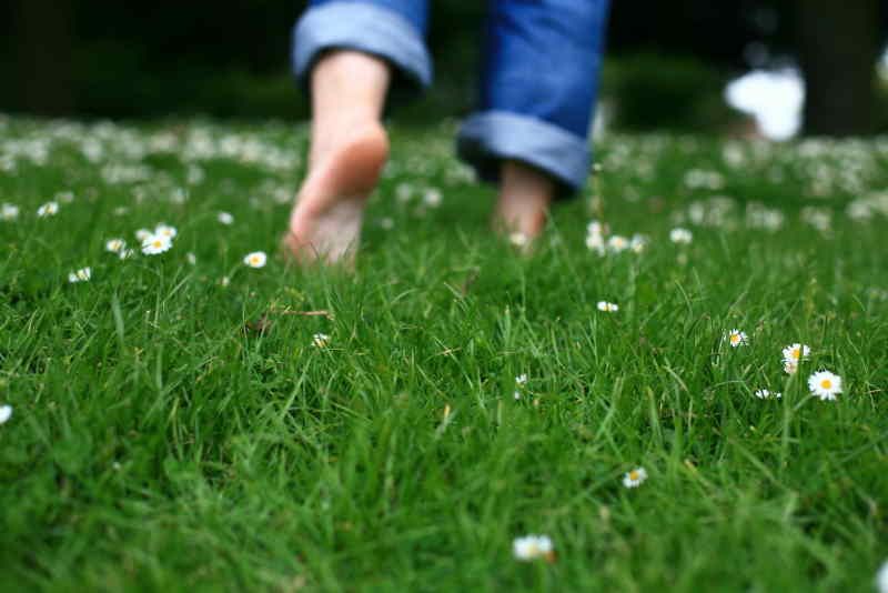 health benefits of walking barefoot on the grass early i morning