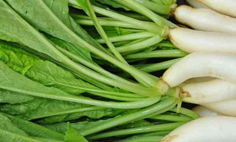 स्वस्थ रहने के लिए करें मूली के पत्तों का सेवन, होंगें अनेकों फायदे