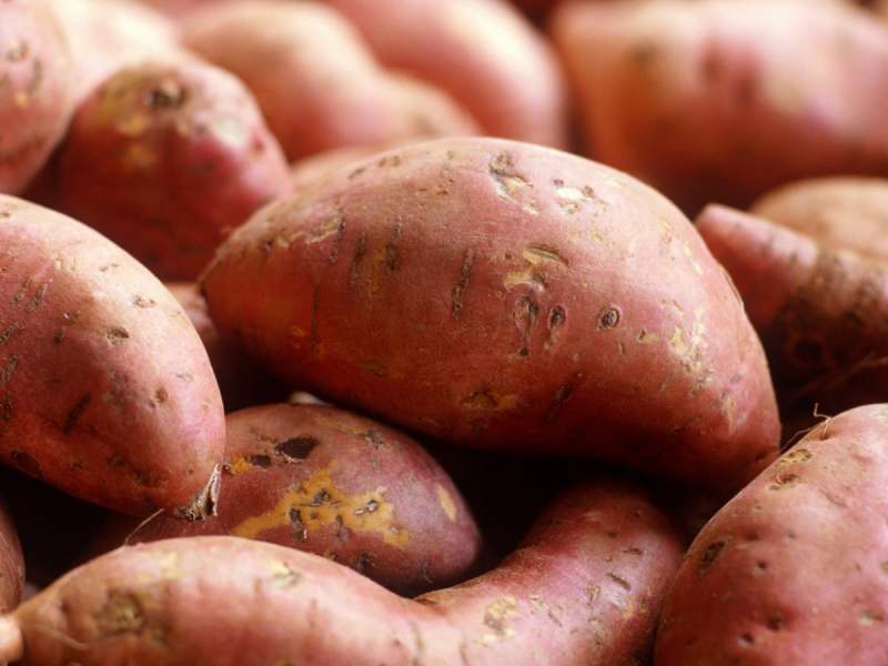 Health Benefits Of Sweet Potato: जानिए शकरकंद से होने वाले इन बेहतरीन फायदों के बारे में
