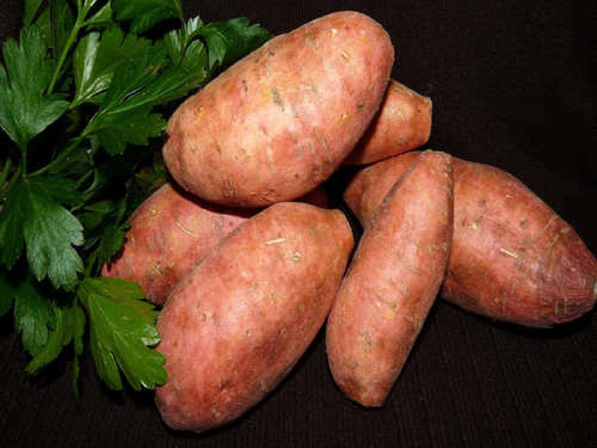 Sweet potato beneficial for children in winter