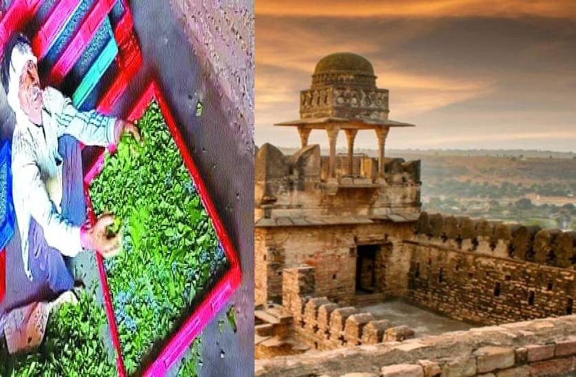 अब मलबरी सिल्क पर उकेरेंगे चंदेरी किला और बादल महल के चित्र