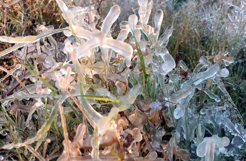 चूरू माइनस 02.06, फसलों पर व नलों - घड़ों में जमी बर्फ