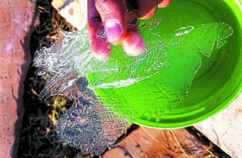 एमपी में बर्तन और फसलों पर जमी बर्फ, दूसरे दिन भी रहा कोल्ड-डे