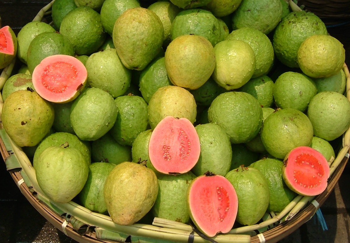 Health Benefits of Guava Seeds Amrud Ke Beej Ke Fayde