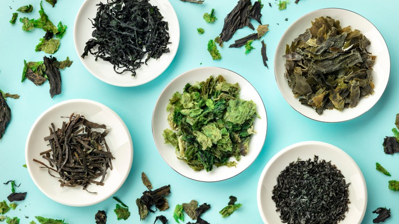 sea vegetables beneficial for health