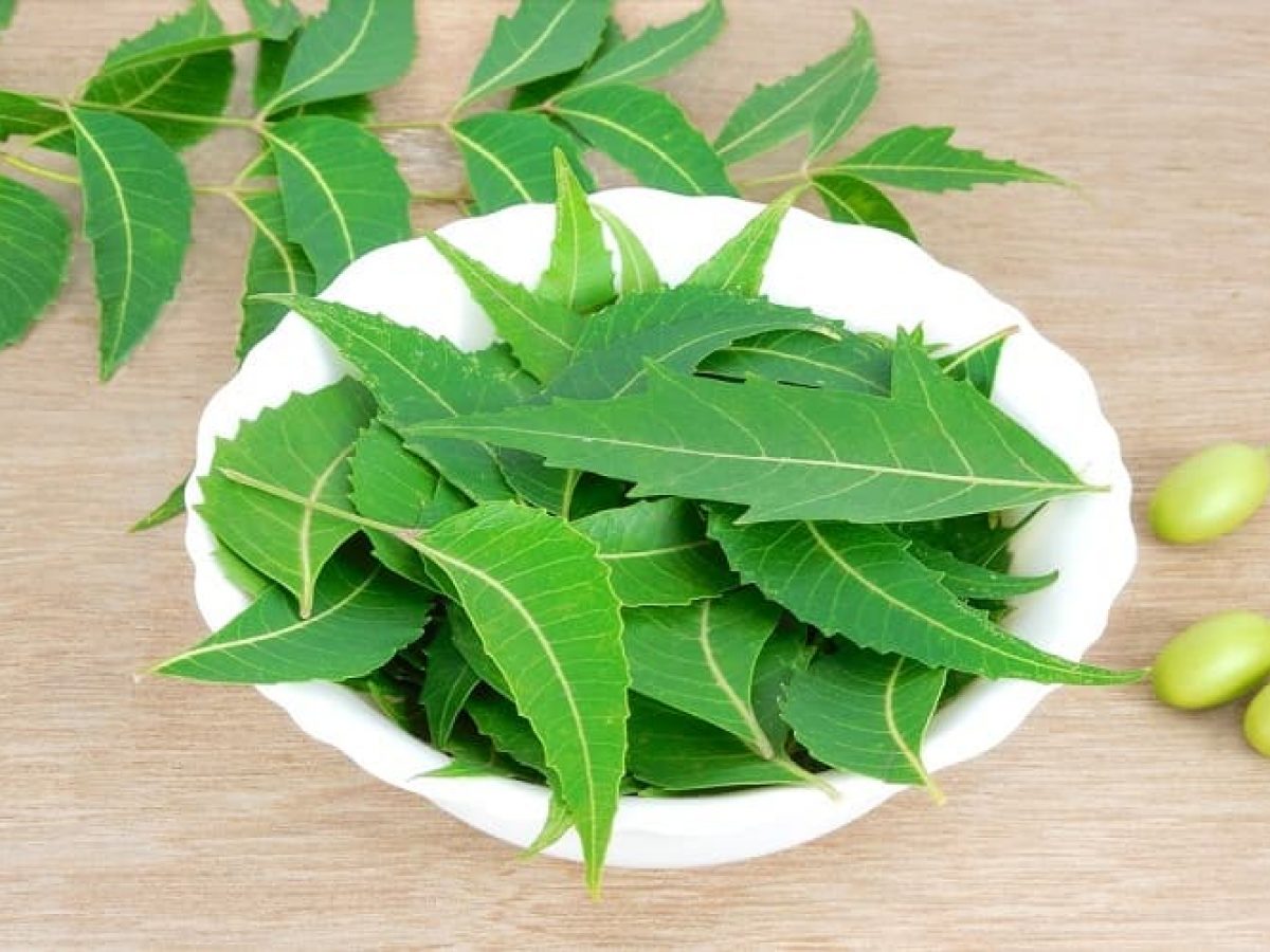 neem leaves benefits for health in empty stomach