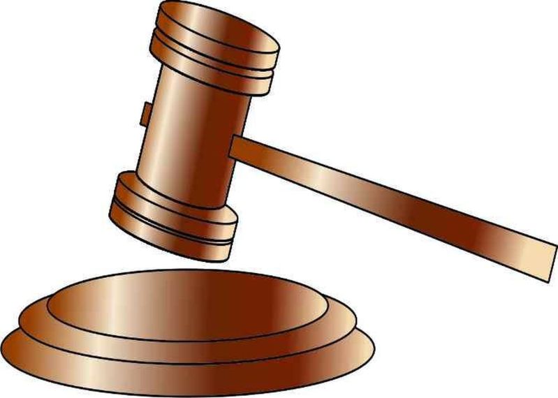 राष्ट्रीय पक्षी मोर को मारकर खाना पड़ा महंगा