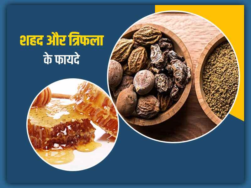 Honey and Triphala powder beneficial for health