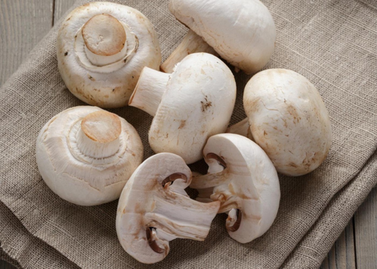 Mushroom Benefits: खुद को हमेशा स्वस्थ रखने के लिए डाइट में जरूर शामिल
