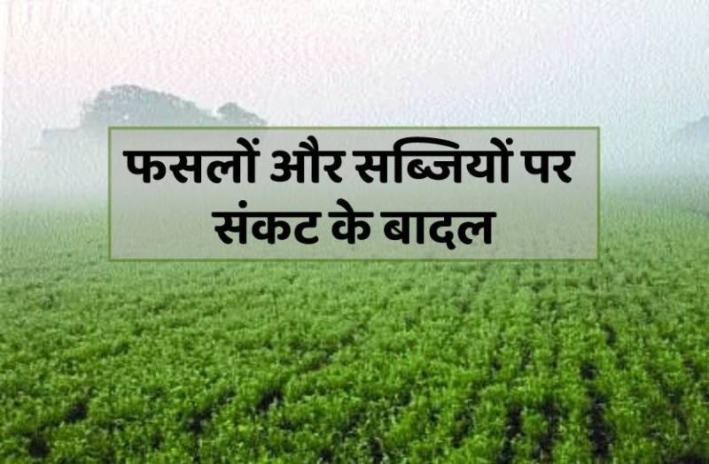 28 और 29 को बारिश के साथ गिरेंगे ओले, 16 किमी की रफ्तार से चलेंगी हवाएं