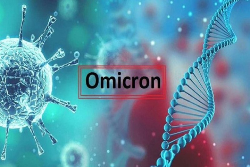 11 more cases take TN Omicron count to 45