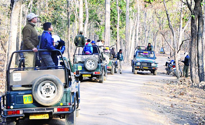 Pench National Park