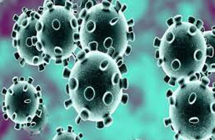 Things You Need To Know About The Anti-COVID Pil