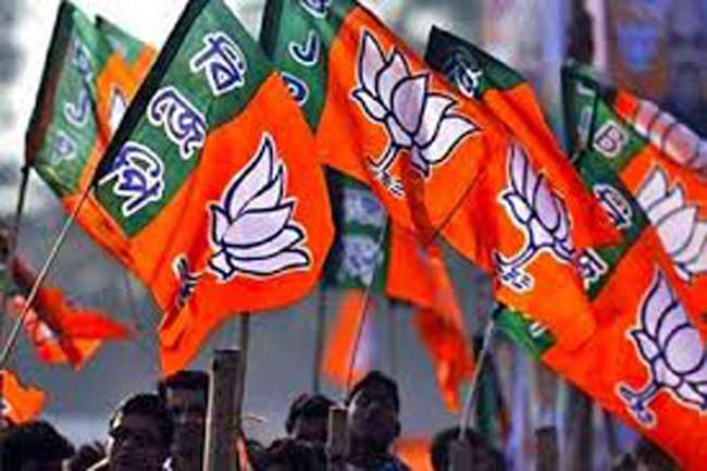 File Photo of BJP Flags