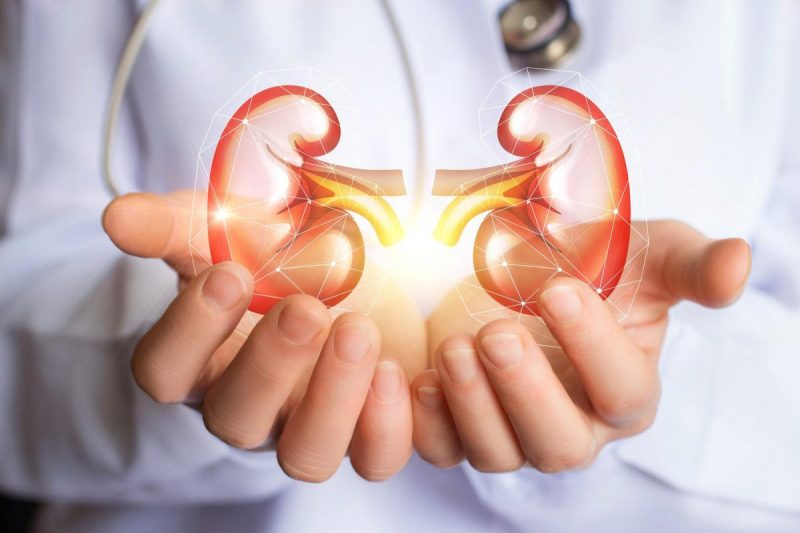 Healthy Kidney: अपनी किडनी को हमेशा स्वस्थ रखने के लिए करें ये उपाय