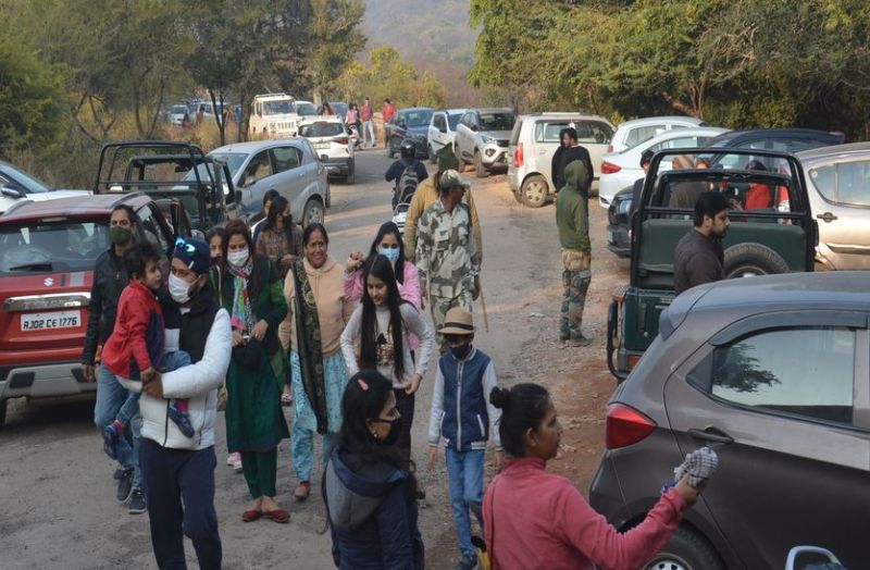 नए साल में सरिस्का पर्यटकों से हाउस फुल, पाण्डुपोल दर्शन को भी उमड़े श्रद्धालु